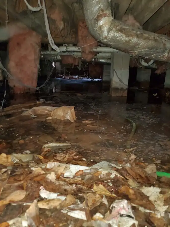 Crawl space flood assessment for Commercial Water Damage Restoration in Doney Park