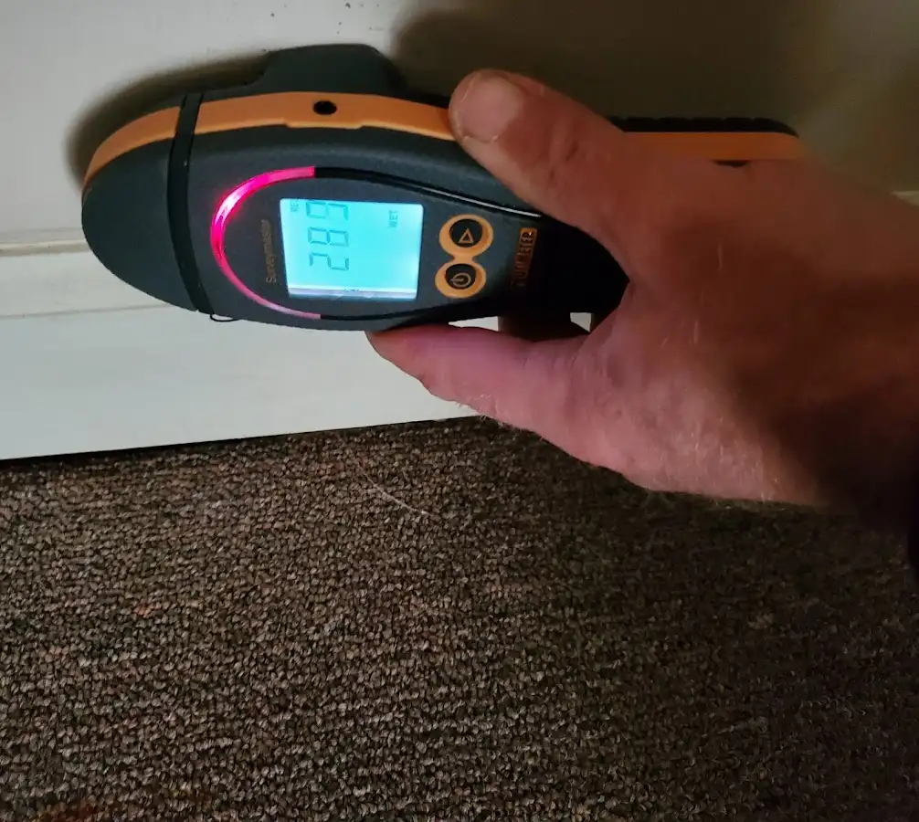 Moisture detection at baseboard during Sewage Cleanup & Sanitation in Doney Park